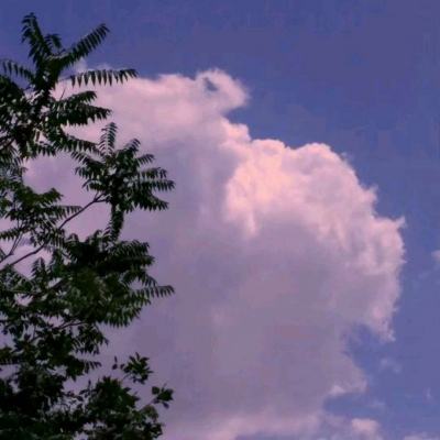 千亿国际app下载